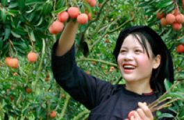 Vài nét văn hoá, tín ngưỡng trong tập tục của dân tôc Tày tỉnh Bắc Giang