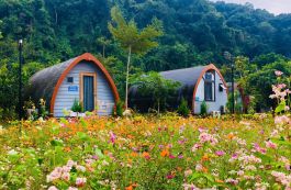 Chạm vào thiên nhiên ở Cội Nguồn