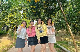 Trải nghiệm Lục Ngạn mùa cam bưởi