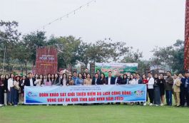 Bắc Ninh: Khảo sát điểm đến du lịch vùng cây ăn quả