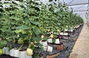 Hiệp hội Du lịch tổ chức khảo sát điểm đến du lịch