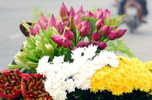 Tạo sức lan tỏa hình ảnh "Sen" trong đời sống xã hội