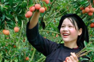 Vài nét văn hoá, tín ngưỡng trong tập tục của dân tôc Tày tỉnh Bắc Giang