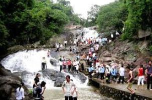 Quy hoạch rừng cảnh quan Suối Mỡ- Động lực cho phát triển du lịch 