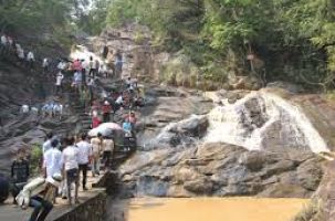 Quy hoạch rừng cảnh quan Suối Mỡ- Động lực cho phát triển du lịch 