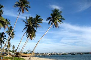 Phú Quốc lọt top những địa điểm du lịch mùa Đông tuyệt vời nhất thế giới