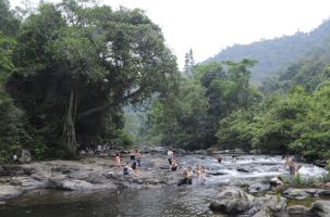 Làm du lịch dưới tán rừng Khe Rỗ