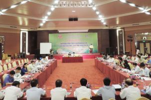 TRUNG TÂM TTXTDL BẮC GIANG: Triển khai thực hiện nhiệm vụ năm 2016