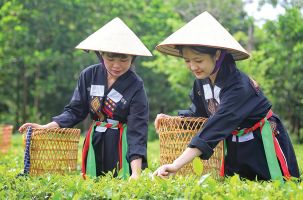 Khai mạc Liên hoan Chèo toàn quốc 2025 tại Bắc Ninh: Ngày hội tôn vinh tinh hoa nghệ thuật truyền thống