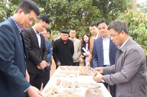 Dấu ấn không gian Phật giáo Trúc Lâm qua tư liệu khảo cổ