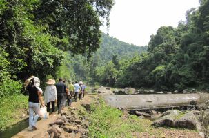 Đến Bắc Giang thư giãn giữa rừng nguyên sinh Khe Rỗ