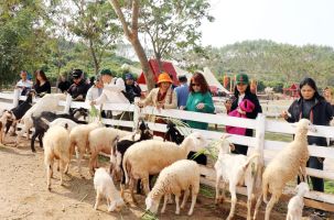 Bộ tượng Tam Tổ Trúc Lâm tại chùa Vĩnh Nghiêm (Bắc Giang) được công nhận bảo vật quốc gia