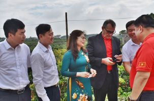 Tân Yên tổ chức hội nghị xúc tiến tiêu thụ vải thiều chín sớm