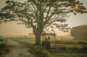 Điện ảnh - Chìa khóa quảng bá văn hóa du lịch Việt Nam