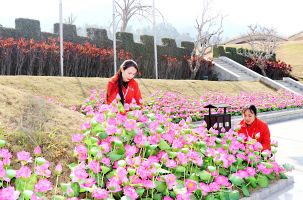 Thúc đẩy phát triển du lịch xanh