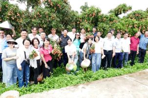 Trên 300.000 lượt khách đến du lịch mùa vải thiều