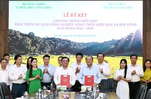 Du lịch Việt Nam vượt khó, vững bước tiến vào kỷ nguyên mới