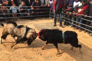 Về Yên Thế hôm nay 