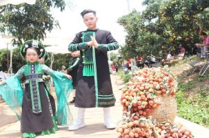 Trình diễn thời trang trong vườn vải thiều Lục Ngạn
