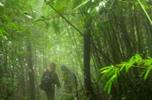 Hành hương về Tây Yên Tử