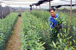 Bắc Giang nhiều thành tựu sau 20 năm tái lập tỉnh