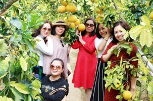 Du lịch Lục Ngạn mùa cam, bưởi: Tạo điểm nhấn để hút khách