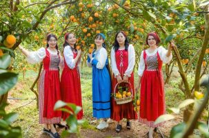 Lục Ngạn: Hút khách du lịch mùa cam, bưởi