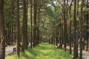 Ba địa điểm du lịch sinh thái quanh Hà Nội dịp nghỉ lễ