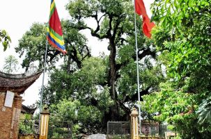 Cụm Di tích Tiên Lục 