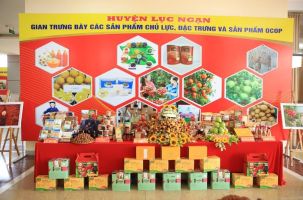 Từ “Hương sắc mùa hè 2022”, Lục Ngạn phấn đấu thu hút 1 triệu khách du lịch năm 2025