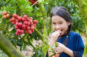 Du lịch cộng đồng - Hướng đi bền vững của Lục Ngạn