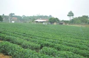 Đặc sản núi rừng Yên Thế