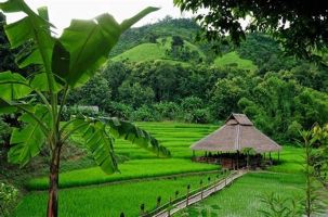 "Xanh hoá" điểm đến