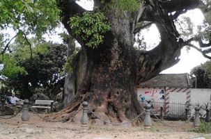 Cụm di tích Tiên Lục