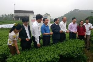 Tiềm năng du lịch Xuân Lương – Yên Thế