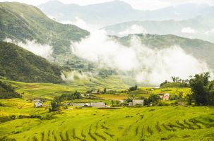 Đẩy mạnh khai thác tiềm năng, thế mạnh của du lịch nông nghiệp, nông thôn