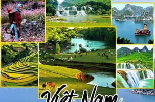 Công bố thủ tục hành chính được sửa đổi, bổ sung trong lĩnh vực Du lịch thuộc phạm vi chức năng quản lý của Bộ VHTTDL