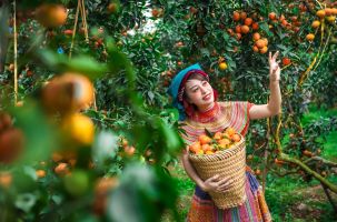 Du lịch huyện Lục Ngạn – Tiềm năng và định hướng phát triển