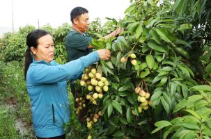 Hút khách mùa hè: Điểm du lịch đổi mới, đón thời cơ