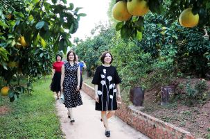 Du lịch nông nghiệp: Hiệu quả kép