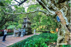 3 tour du lịch mới khám phá di sản thế giới Côn Sơn - Kiếp Bạc