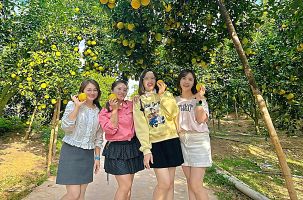 Trải nghiệm Lục Ngạn mùa cam bưởi