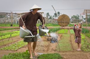Không bỏ phí “mỏ vàng” du lịch nông thôn