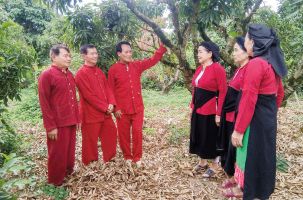 Soọng cô, Chèo - Di sản văn hóa phi vật thể quốc gia