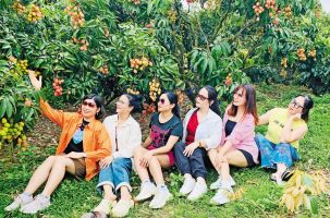 Nhà vườn hút khách tham quan