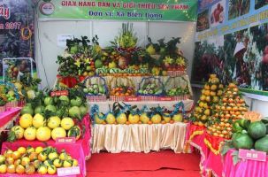 Bắc Ninh tổ chức Lễ hội trái cây 2025