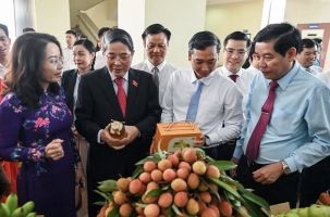 Hoạt động trưng bày, quảng bá tại Hội nghị xúc tiến tiêu thụ vải thiều và các nông sản chủ lực, đặc trưng, sản phẩm OCOP của tỉnh năm 2025