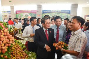 Bắc Giang tổ chức Hội nghị xúc tiến tiêu thụ vải thiều năm 2025