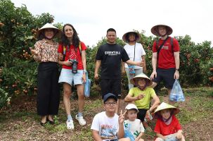 Bắc Giang: Hút khách du lịch mùa vải thiều