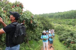 Khách nước ngoài đến Lục Ngạn tăng mạnh